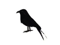 200x150 Flying Crow Inspirational Ink Drawing On Canvas Abstract