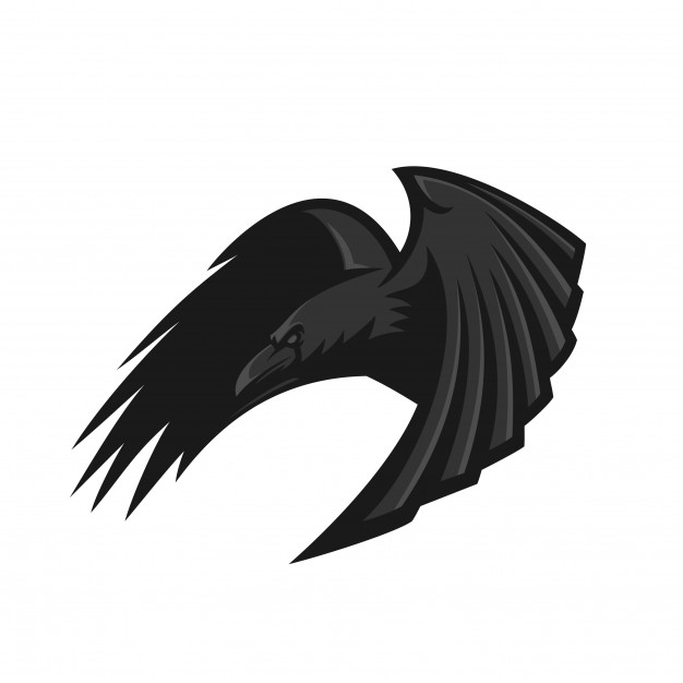 626x626 Flying Raven Vectors, Photos And Free Download