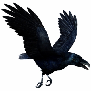 320x320 Hd Raven Flying Png