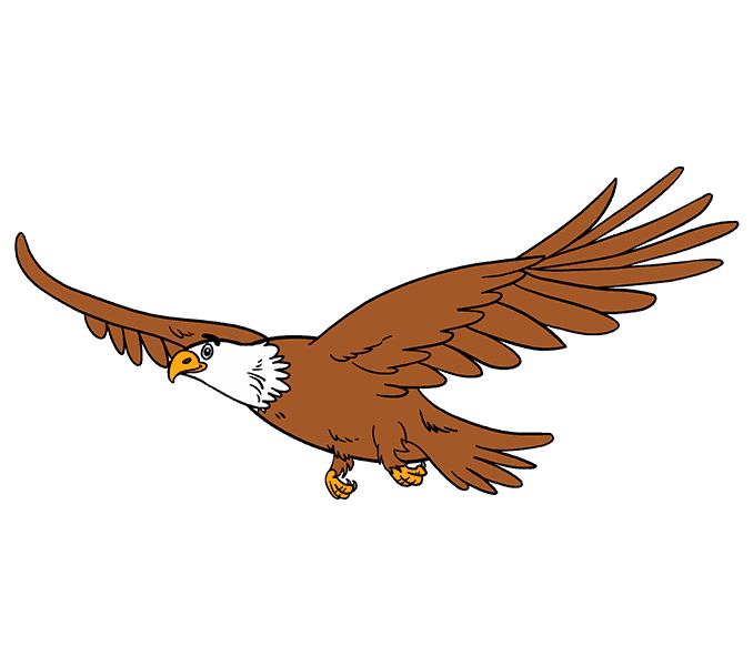 678x600 How To Draw An Eagle In A Few Easy Steps Easy Drawing Guides