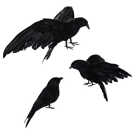 450x450 Povkeever Halloween Realistic Handmade Crow Prop, Pack