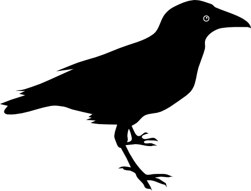512x391 Raven Clipart