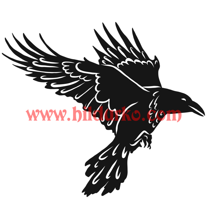 667x667 Raven In Flight Viking Clipart