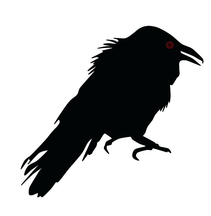 705x720 Raven Clipart Oakeydoak
