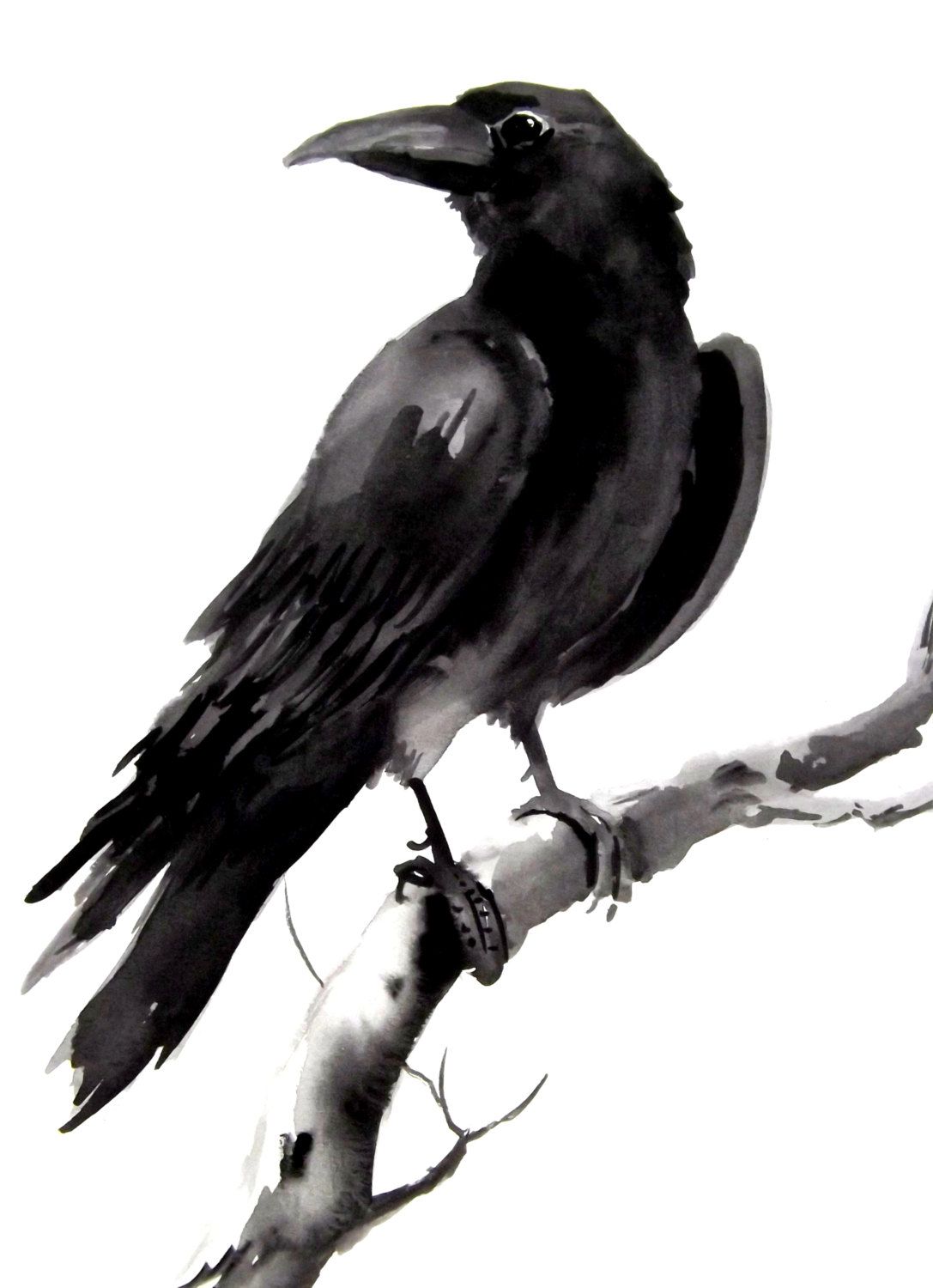 1087x1500 crow, raven original watercolor painting x ink watercolor
