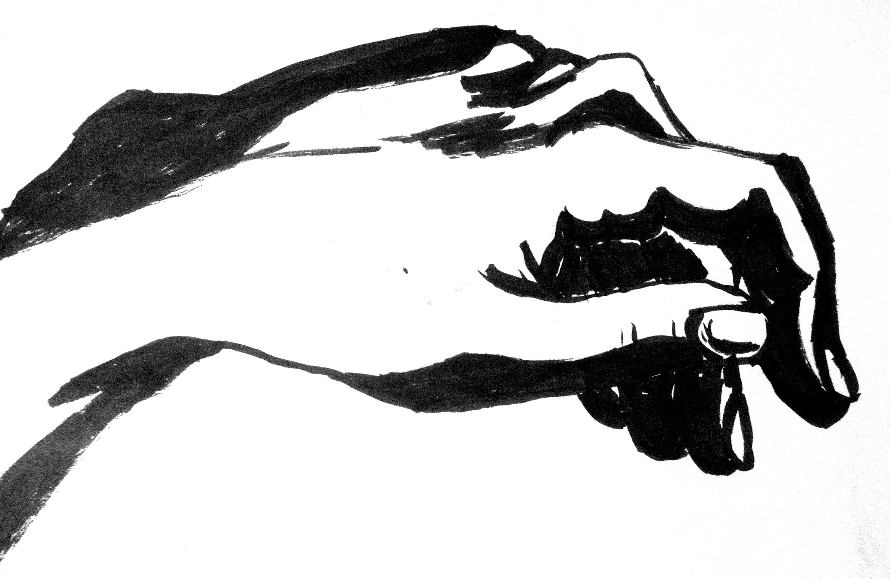 2904x1890 Day The Raven And The Hand One Stumble