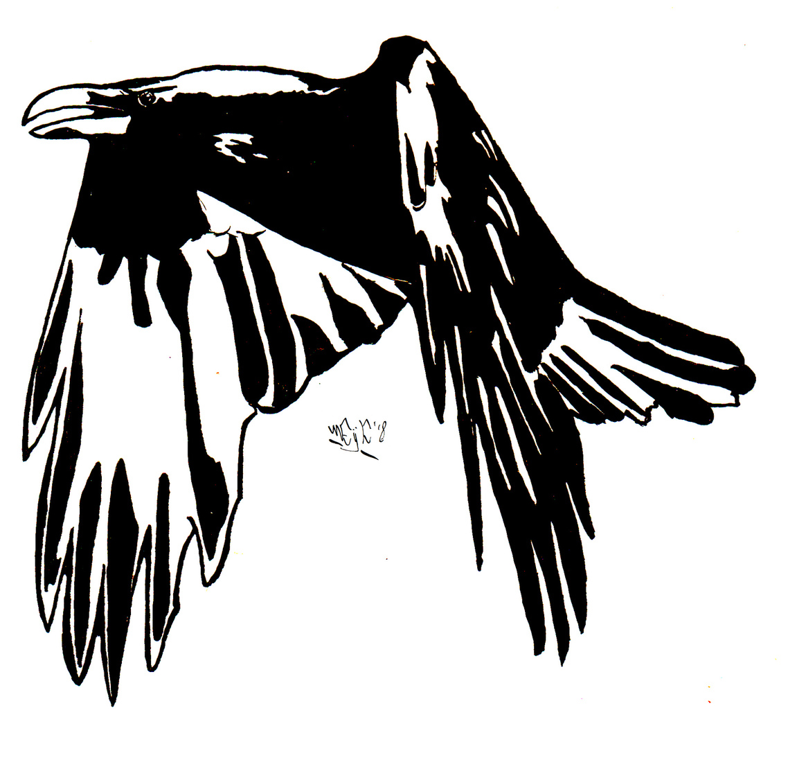 1138x1100 Indian Ink