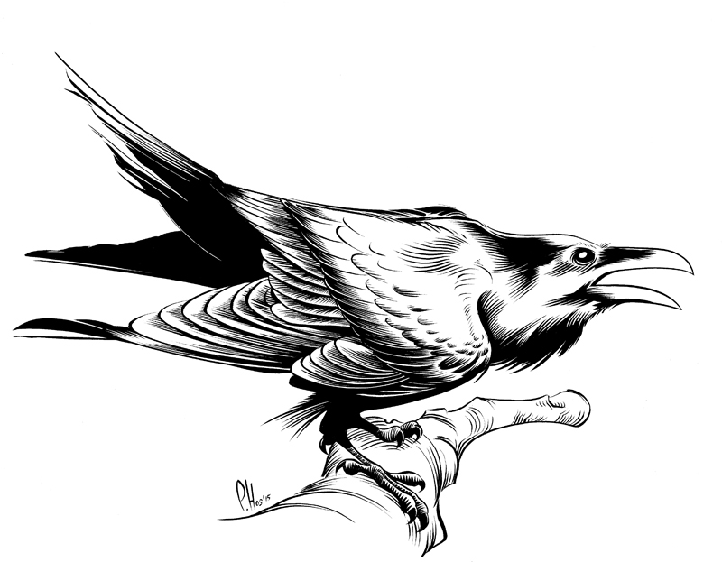 800x623 p hos' art quoth the raven, this is a blog post