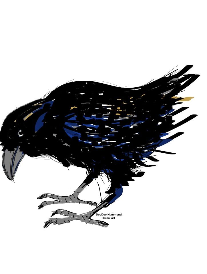 724x960 Using Idraw Instead Of Pen And Ink To Create A Raven Image
