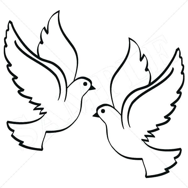 600x600 Dove Drawings