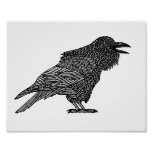 307x307 Bird Pen And Ink Drawing Posters Photo Prints Zazzle Au