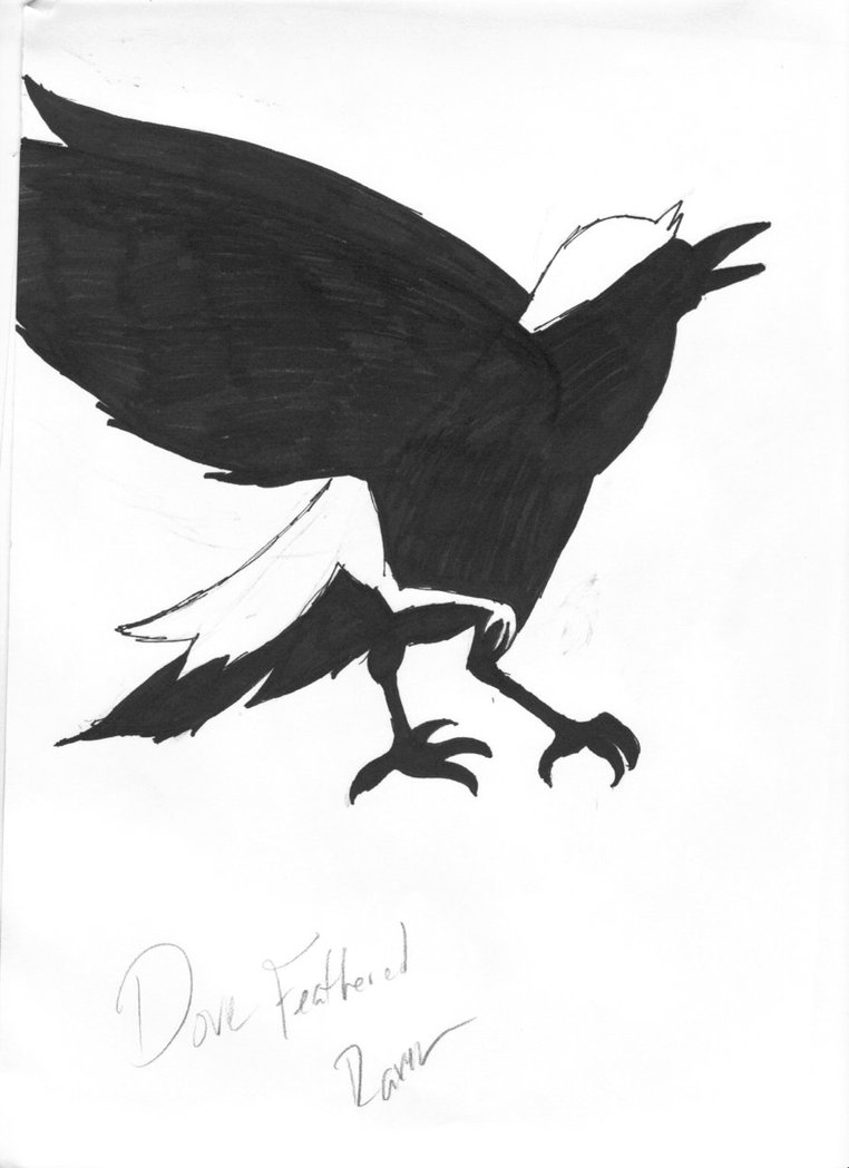 Raven Outline Drawing