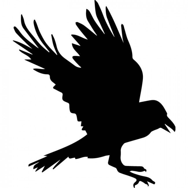 650x650 Raven Outline
