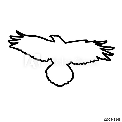 500x500 Raven Outline Images On White Background, Fyling