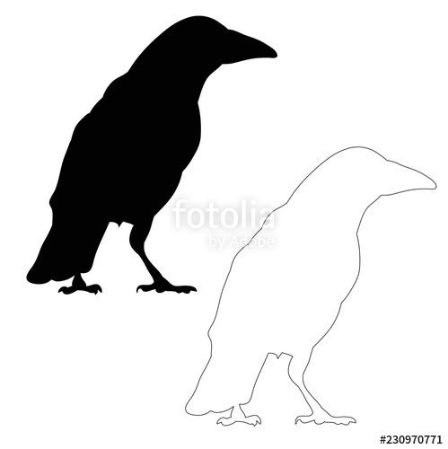 499x500 Silhouette Of Crows, Bird Outline Stock Image And Royalty Free