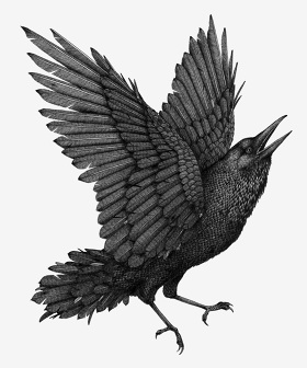 280x336 Animal Masks