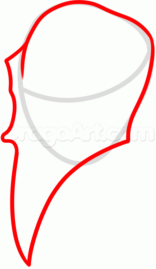 504x871 How To Draw A Crow Skull, Step