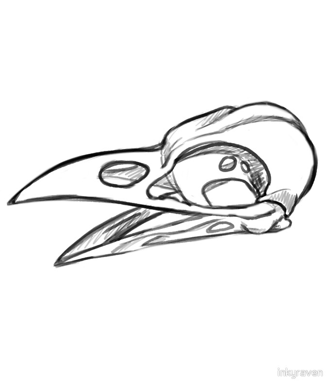 686x800 Raven Skull