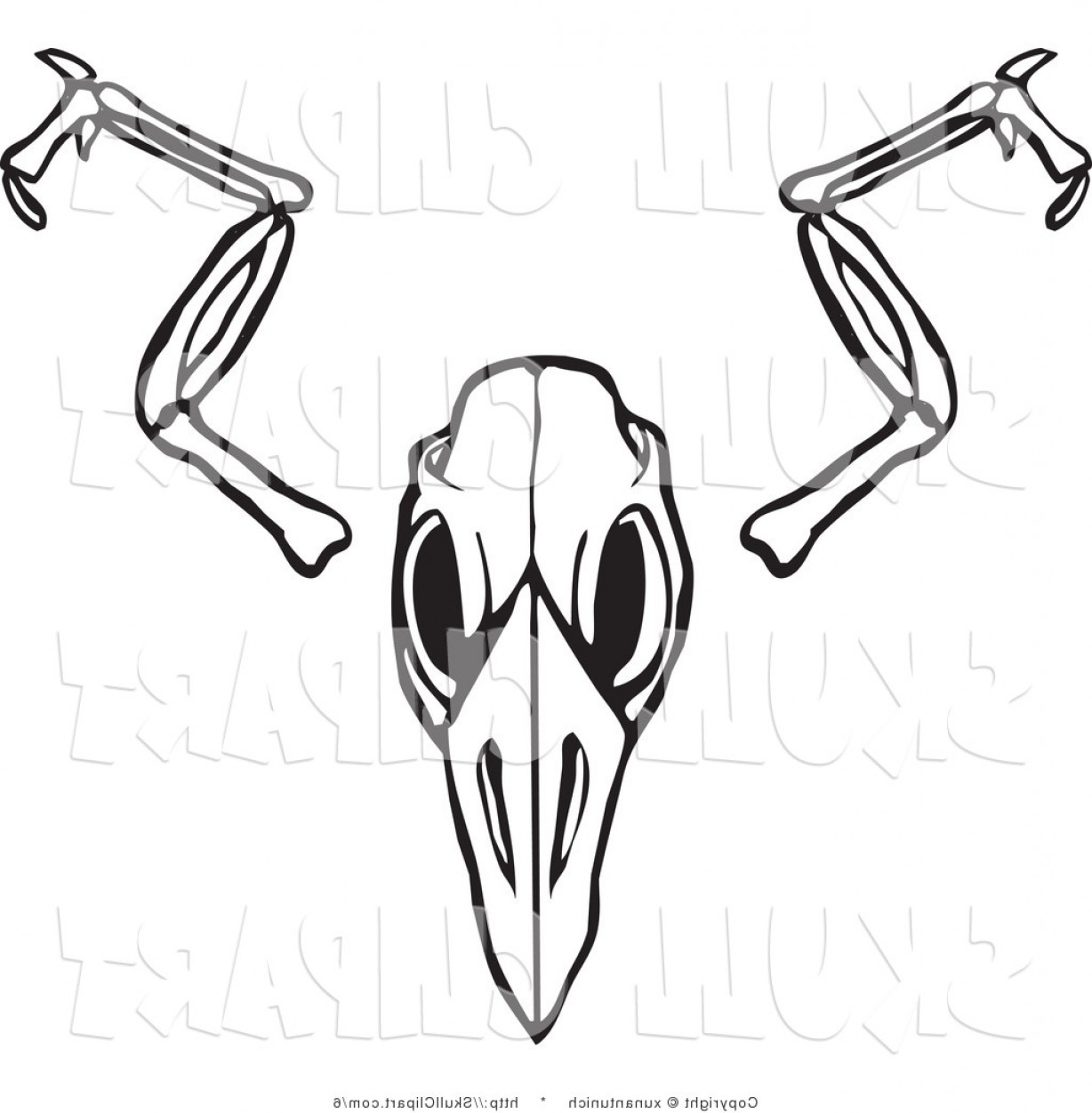 Raven Skull Drawing | Free download on ClipArtMag