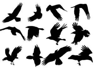 300x218 Raven Tattoo Silhouette