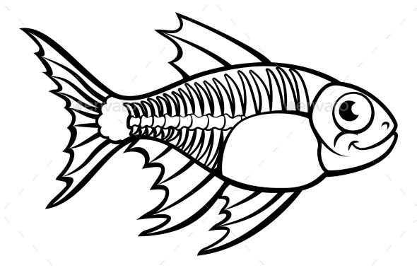 590x379 An X Ray Tetra Fish Animal Cartoon Character Outline Coloring