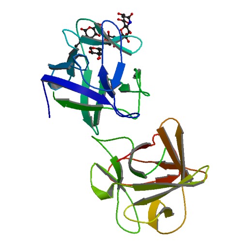 500x500 Rcsb Pdb