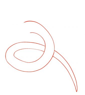 340x378 How To Draw Rayquaza Pokemon