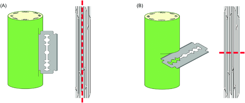 850x359 Schematic Drawing Of Wound Types The Two Types Of Mechanical
