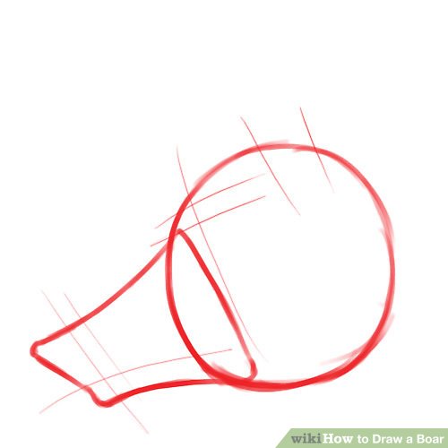 500x500 How To Draw A Boar Steps