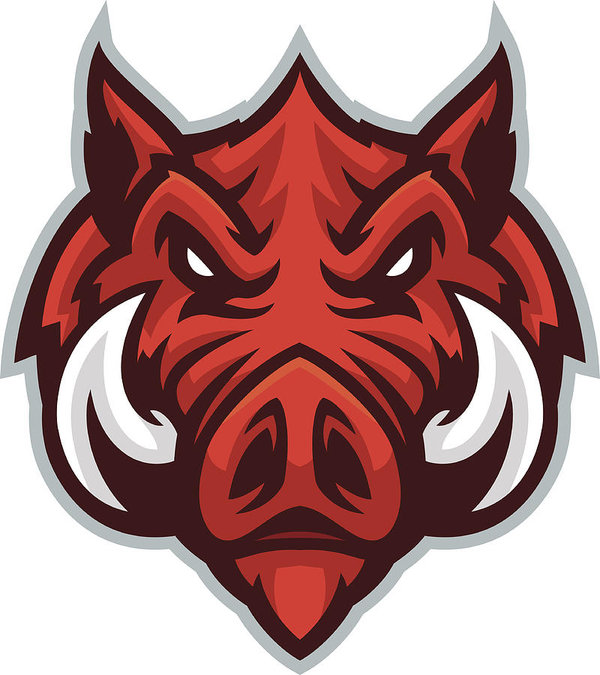 600x675 Razorback Head Art Print