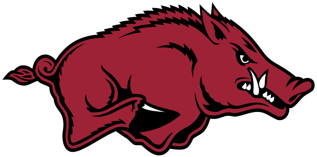 1024x507 Razorback Picture