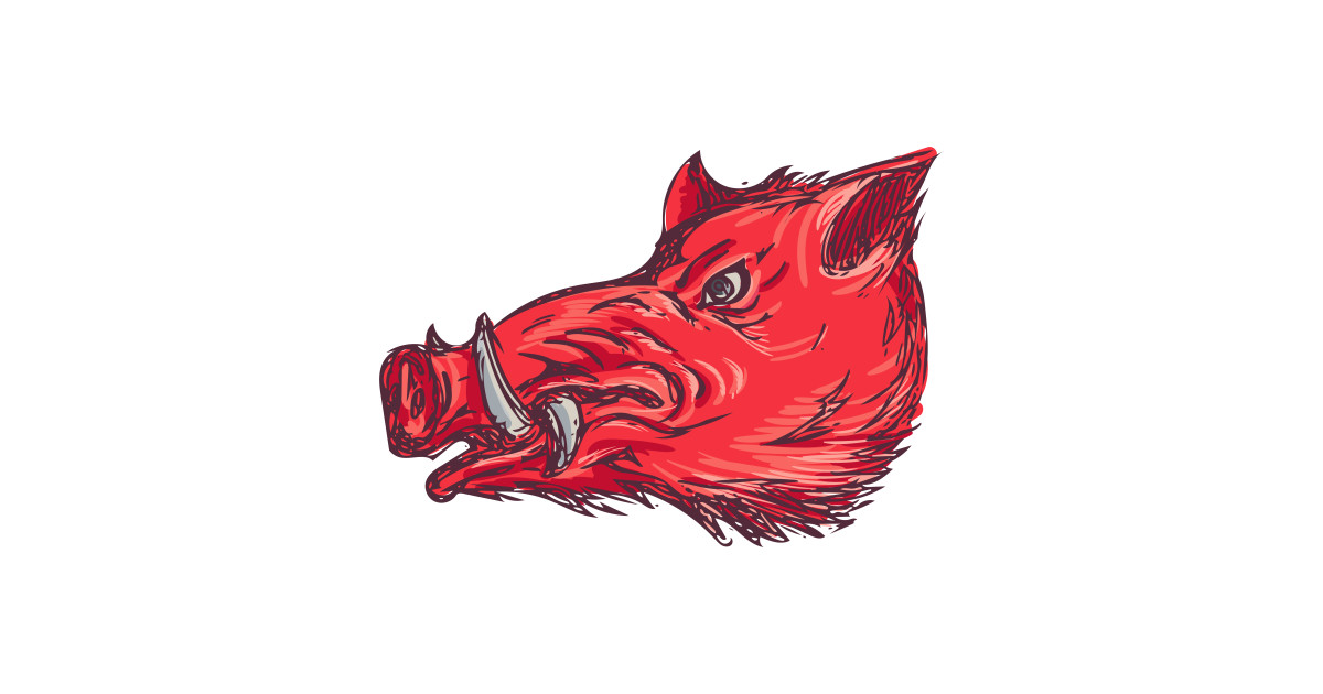 1200x630 Wild Boar Razorback Head Side Drawing