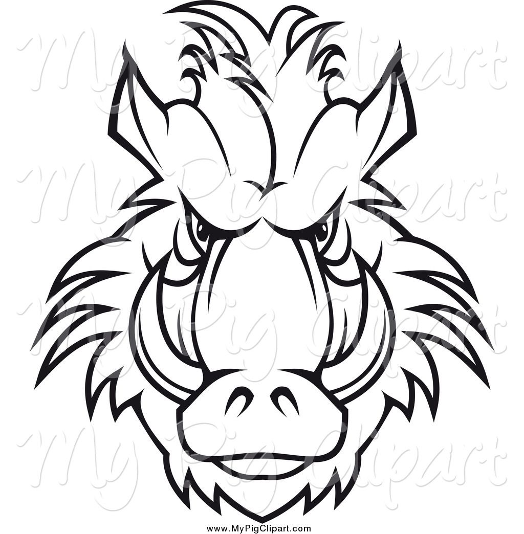 1024x1044 Boar Drawing Face For Free Download