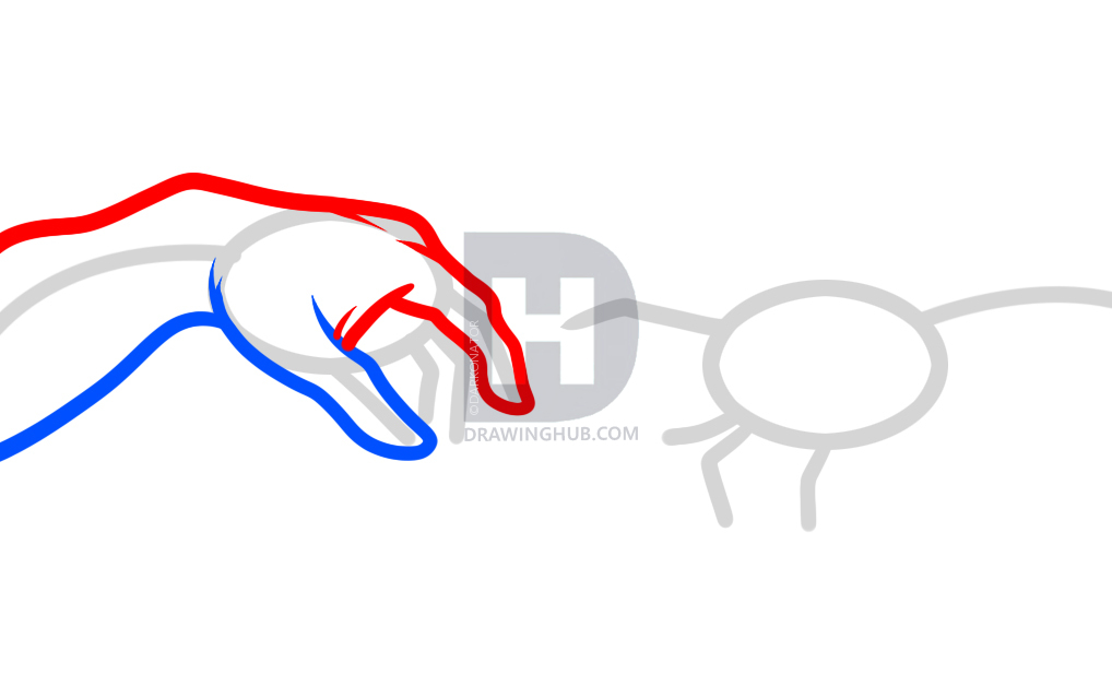 1018x639 how to draw the creation, creation of adam, step