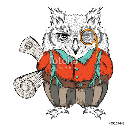 500x500 Funny Owl Clothing With Newspaper, Reading, News, E Mail Drawing