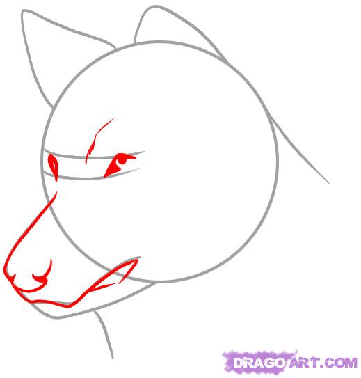 519x543 Draw A Realistic Wolf, Draw Real Wolf, Step