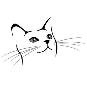 300x300 Simple Drawing Of A Cat Face I Want To Do This But In Real Detail