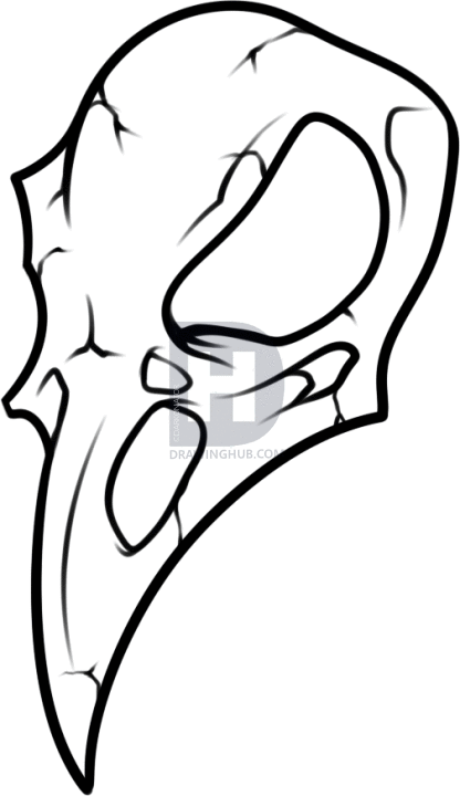 416x720 How To Draw A Crow Skull, Step