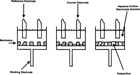 483x261 Electropolymerization