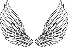 Realistic Angel Wings Drawing