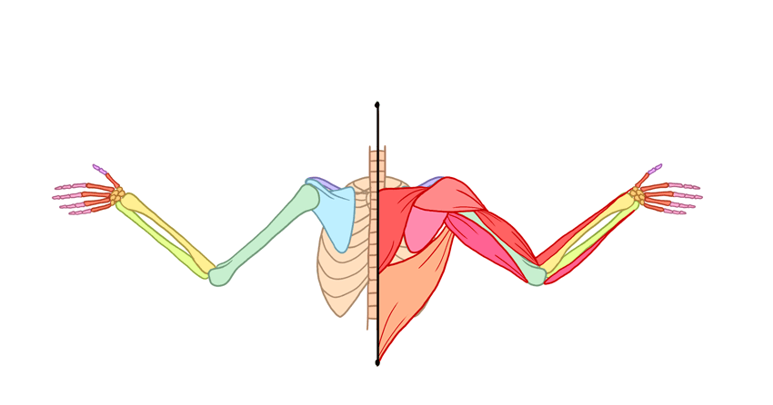 850x446 How To Draw Angel Wings