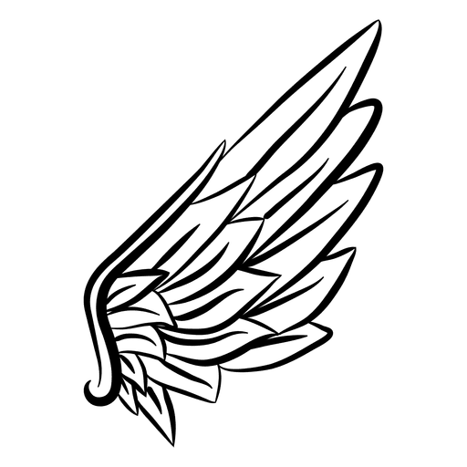 512x512 Wing Transparent Free Download On Unixtitan