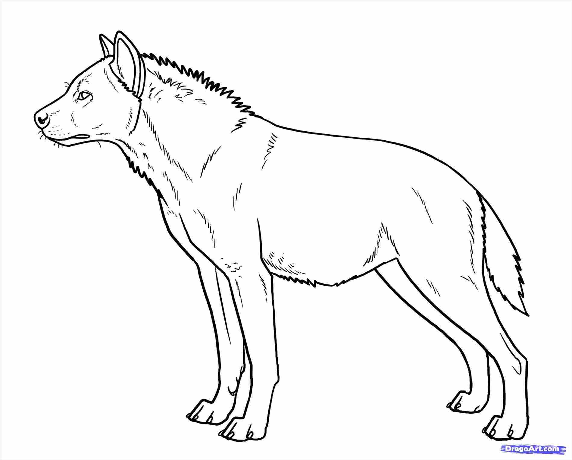 1899x1527 Drawings Of Deer Google Search Integrating Patterns Rhcom