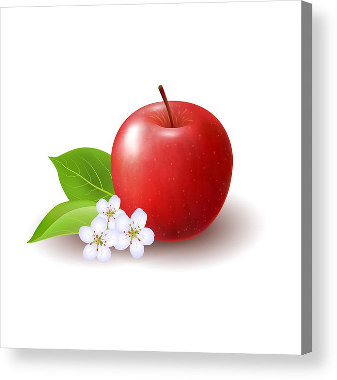 666x750 isolated colored red whole juicy apple with green leaves, white