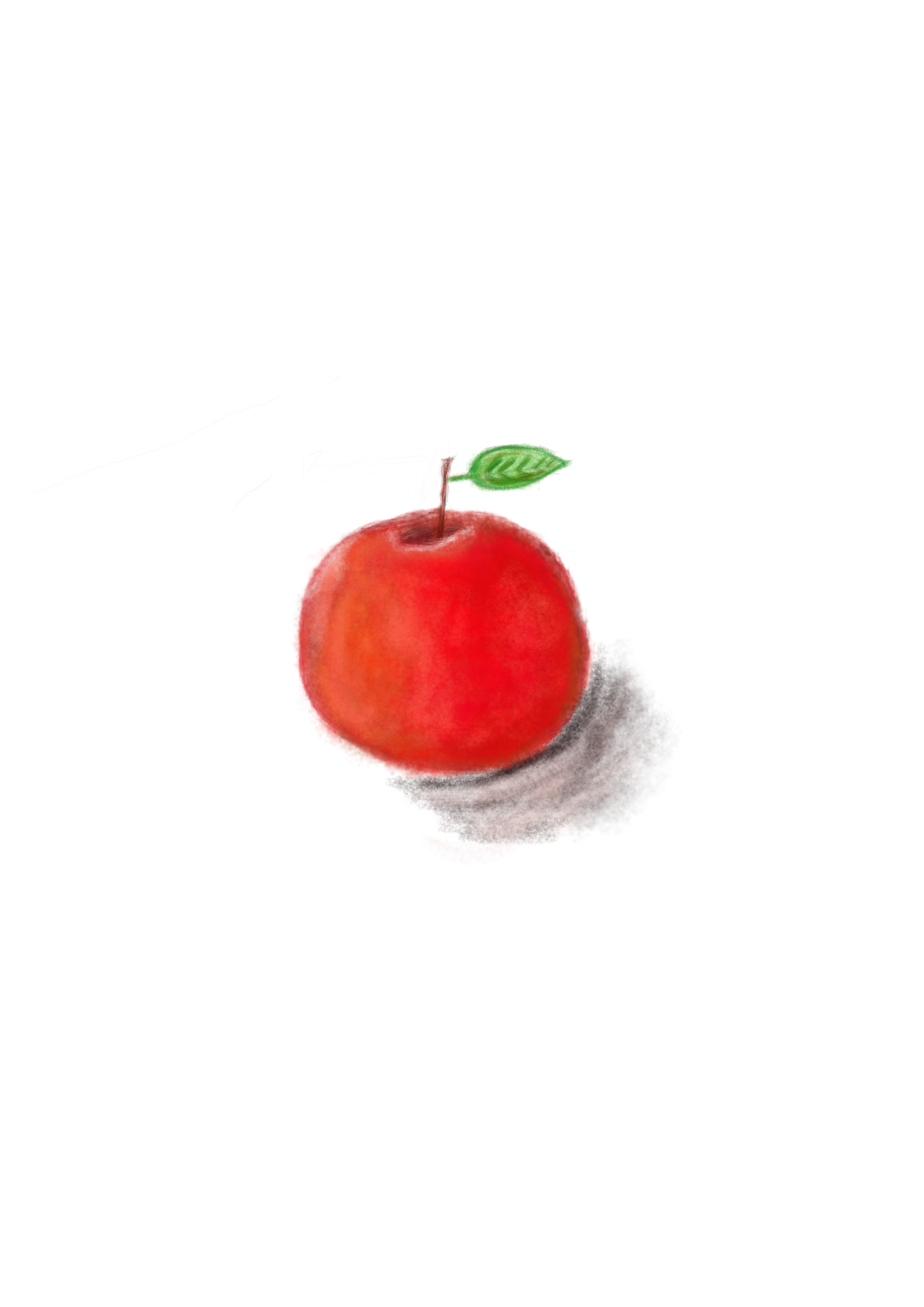 4961x7016 Apple Drawing