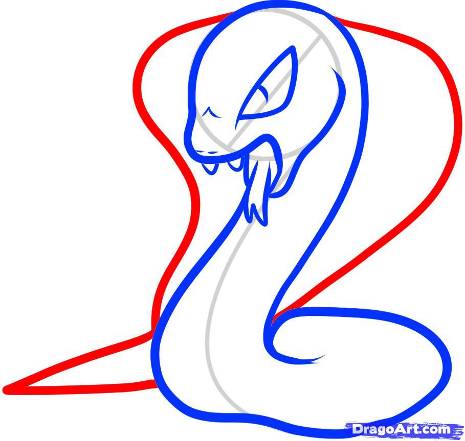 909x864 How To Draw Realistic King Cobra Step