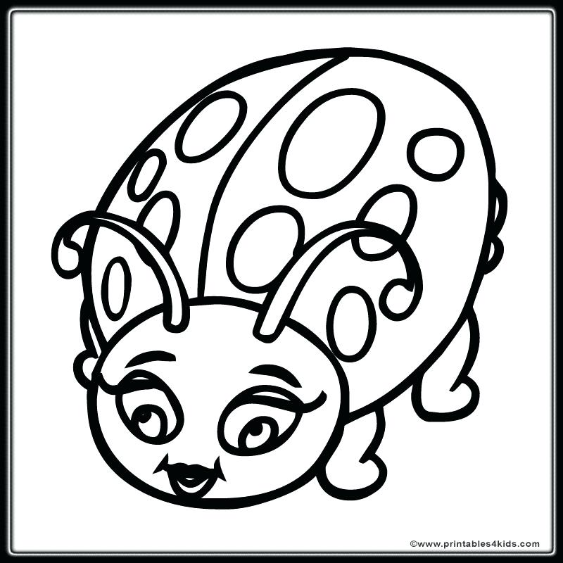 800x800 Lady Bug Drawings Ladybug Coloring