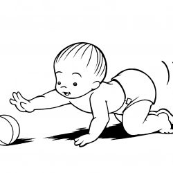 250x250 Baby Animal Drawings Realistic Vector Bear Cute Easy Nursery