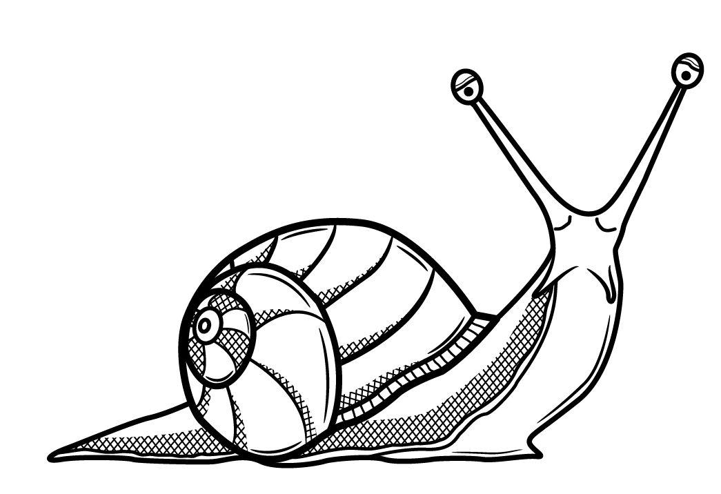 1045x716 Collection Of Free Snail Clipart Realistic Bean Clipart Coffee