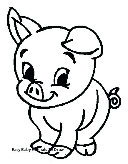 435x557 Baby Pig Drawing Awesome Ng Pages Of Pigs Top Kids How To Draw